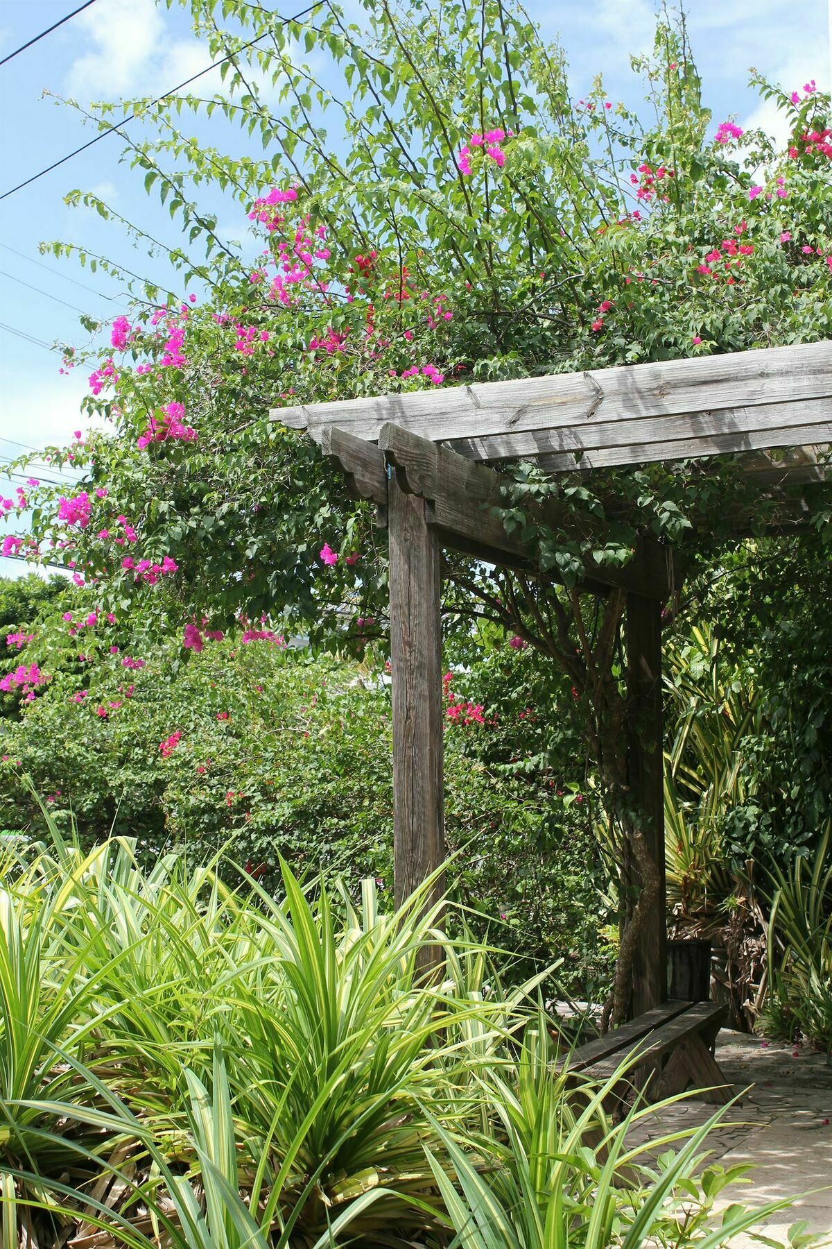 Tingum Village Hotel Dunmore Town ภายนอก รูปภาพ